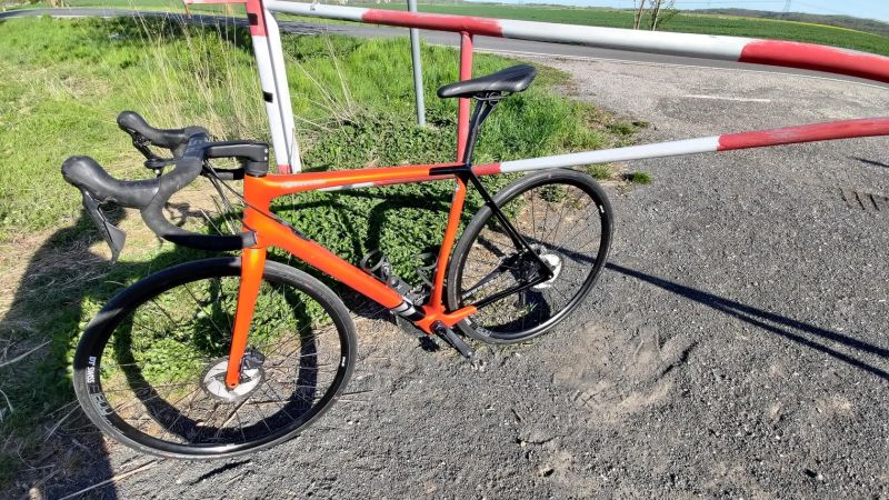 Cannondale Synapse Carbon Disc