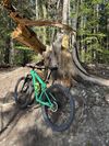 Specialized Epic Expert WC