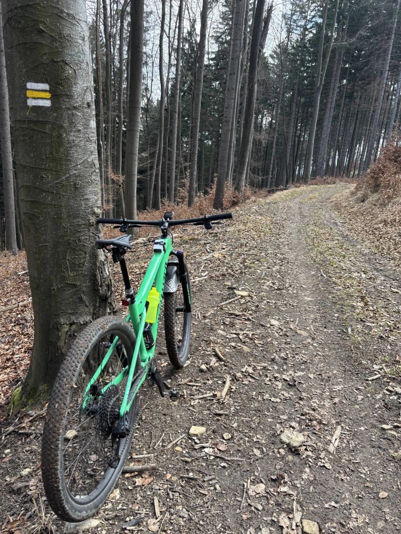 Specialized Epic Expert WC