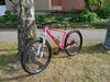 MRX ELITE 29