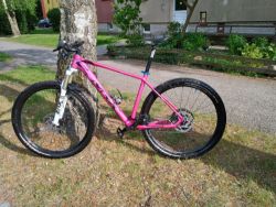 MRX ELITE 29