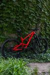 YT Industries Capra Core 3 29
