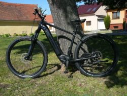 Maxbike Magnus 2.0