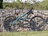 CTM Dirtking
