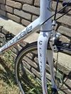 Cannondale Synapse
