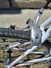 Cannondale Synapse