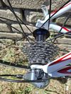 Cannondale Synapse