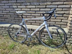 Cannondale Synapse