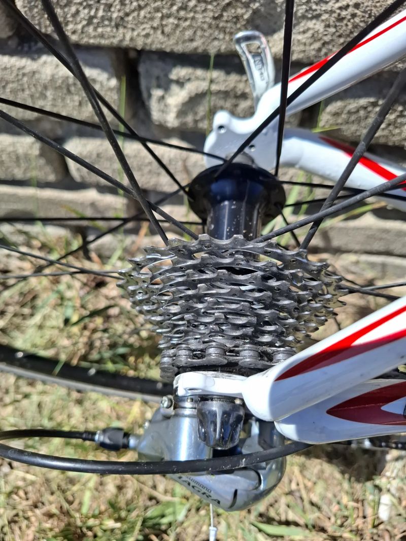 Cannondale Synapse