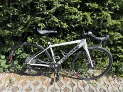 Cannondale Synapse