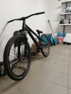 CTM Dirtking