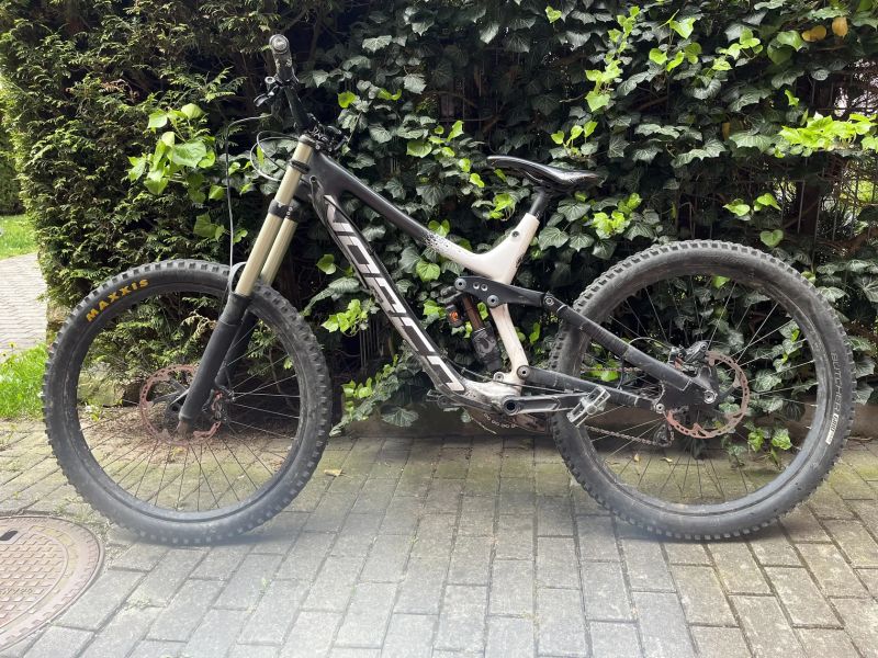 Norco Aurum