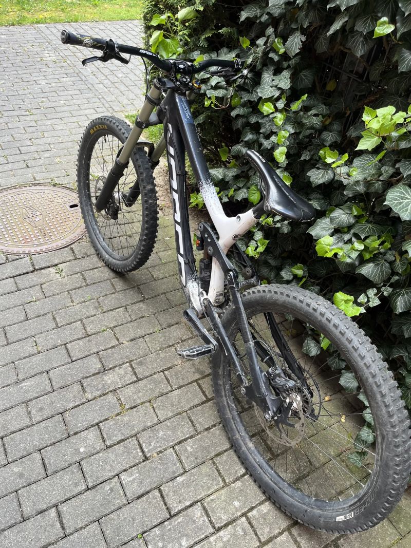 Norco Aurum