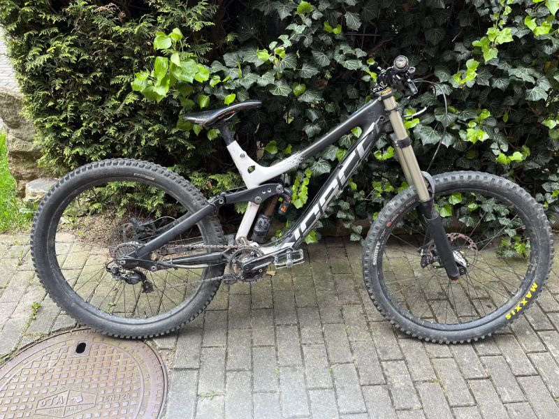 Norco Aurum