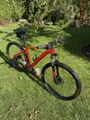 Specialized Rockhopper Comp 29