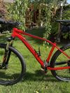 Specialized Rockhopper Comp 29