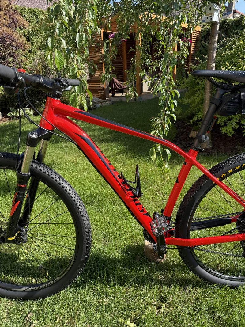 Specialized Rockhopper Comp 29
