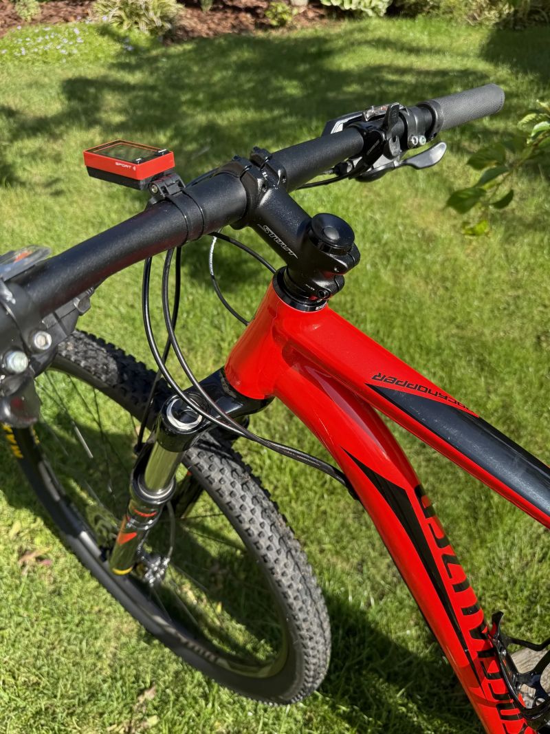 Specialized Rockhopper Comp 29