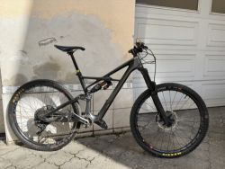 Specialized Enduro 29" carbon
