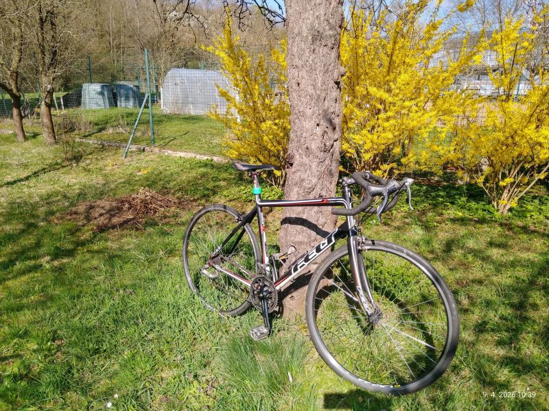 Felt Z85
