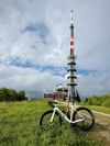 Canyon Ultimate CF SLX 8 Di2 Speed