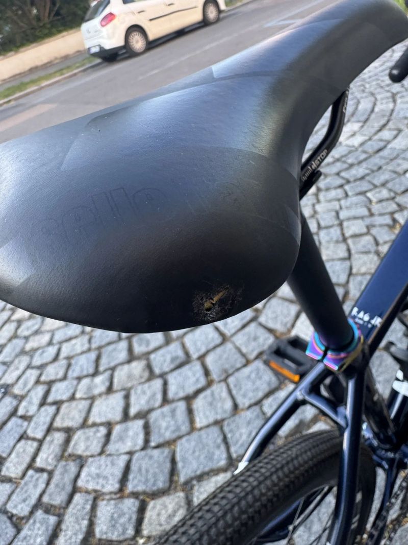 NS Bikes Rag jr.