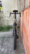 NS Bikes RAG +3