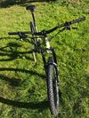 Giant Reign 1 carbon