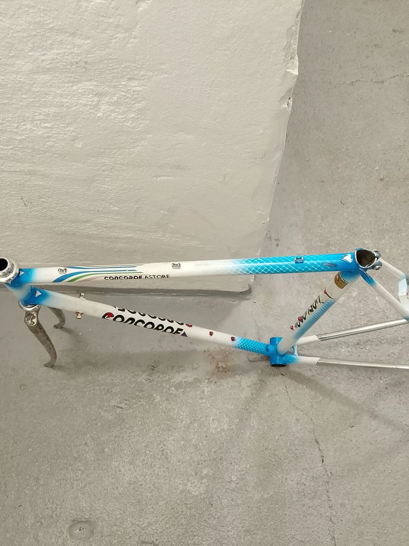 Concorde Astore