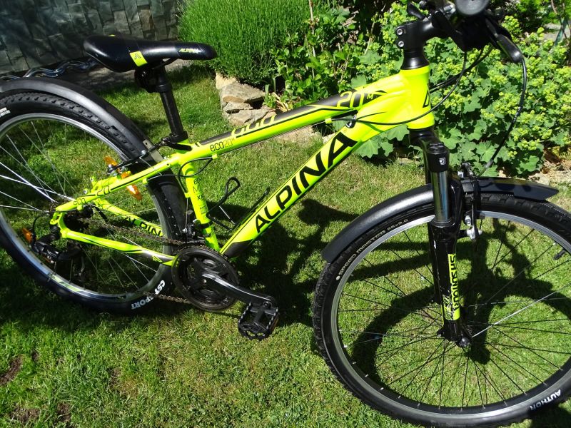Kellys Alpina 26"
