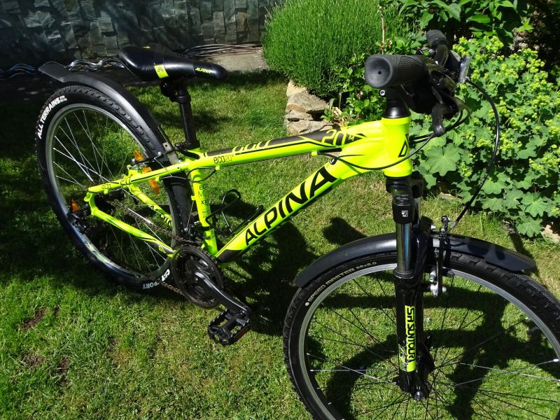 Kellys Alpina 26"