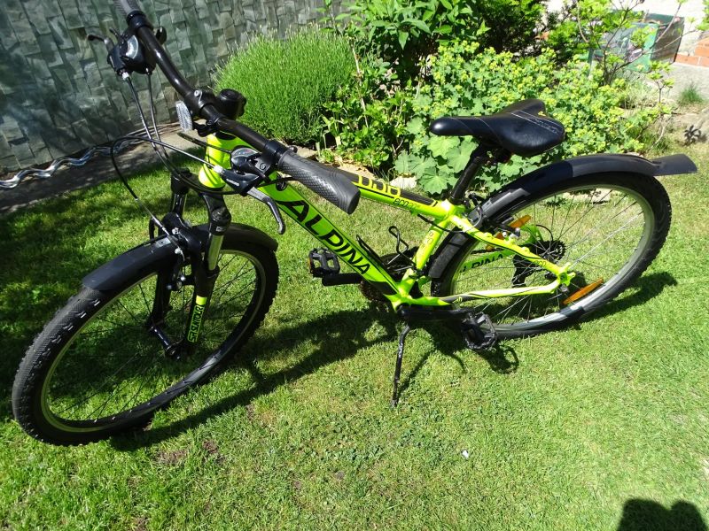 Kellys Alpina 26"