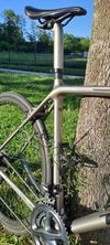 Trek Emonda SL6