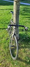 Trek Emonda SL6