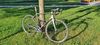 Trek Emonda SL6