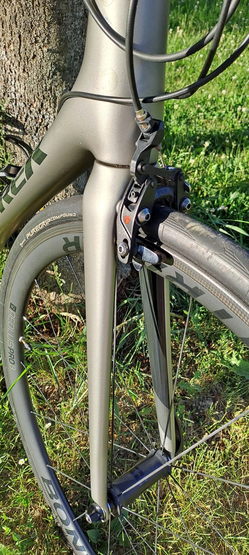 Trek Emonda SL6