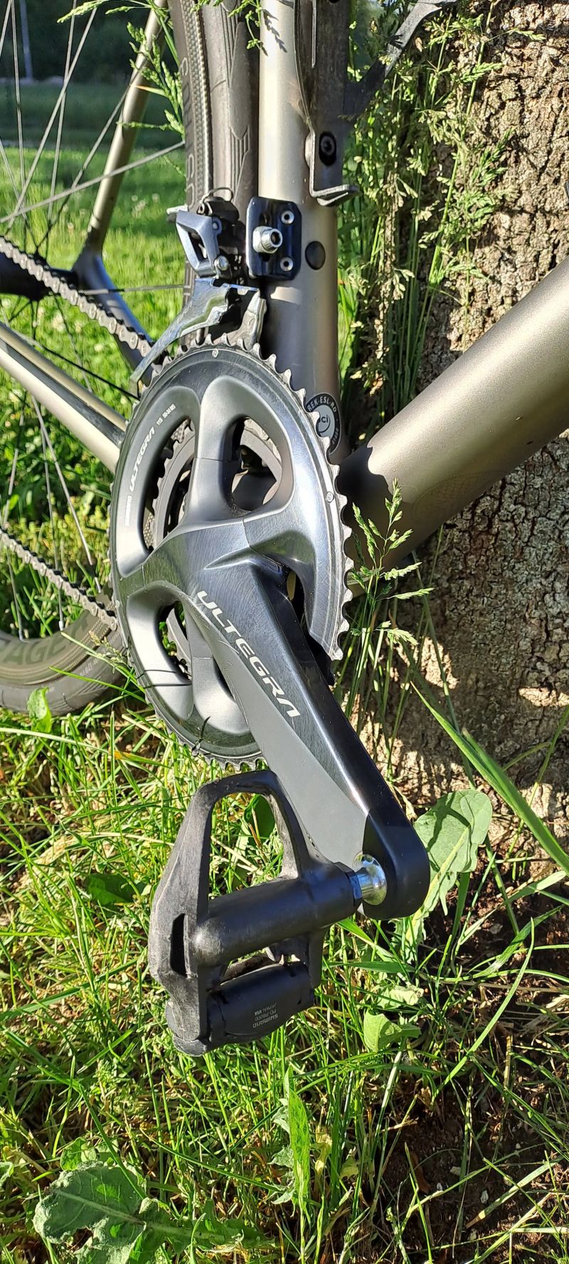 Trek Emonda SL6
