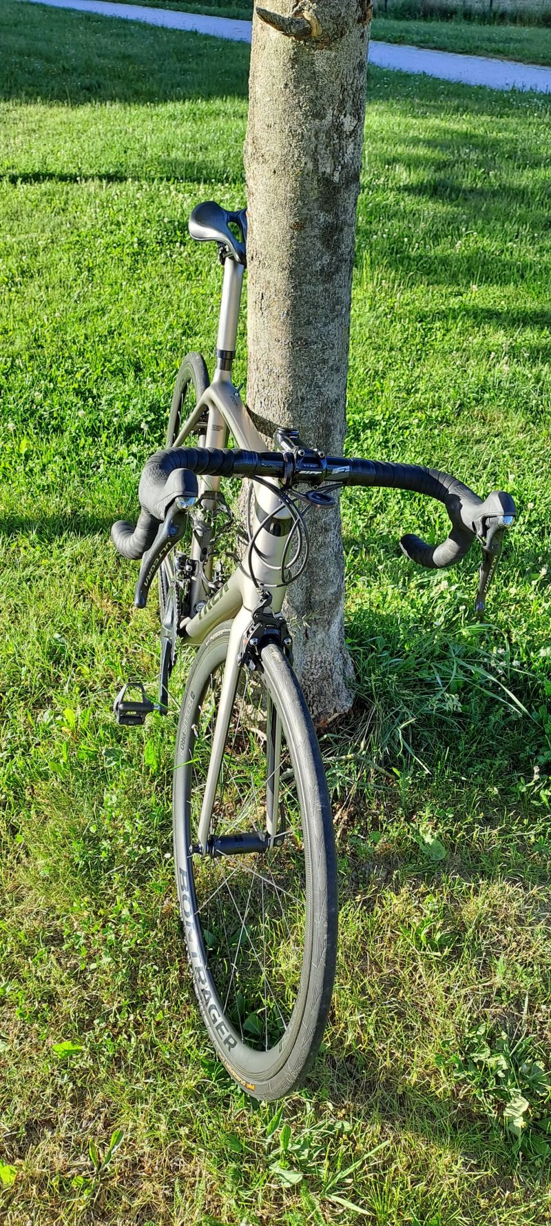 Trek Emonda SL6