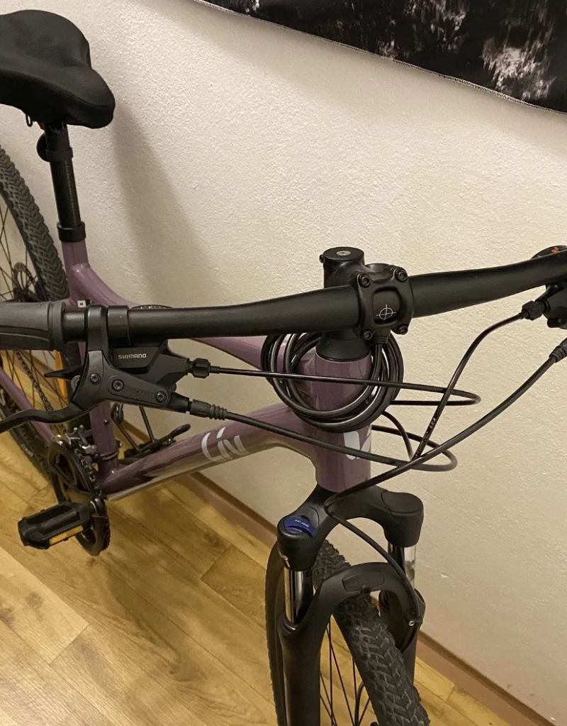 Giant Liv Rove 3