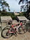 Specialized Tarmac PRO, full Carbon, Sram Red/Force, jen 6.3 kg, vel. 54 