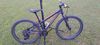 Orbea MX 24