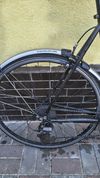 Trek ALPHA