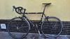 Trek ALPHA