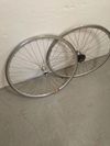 Campagnolo
