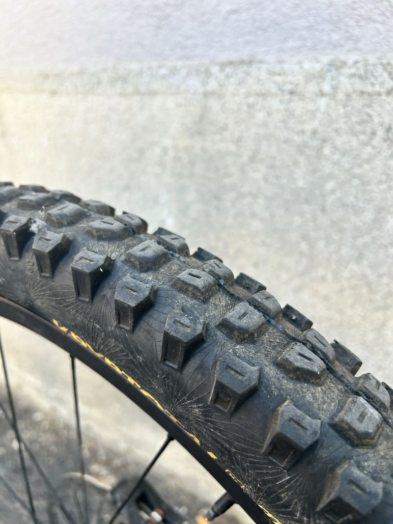 YT Capra AL