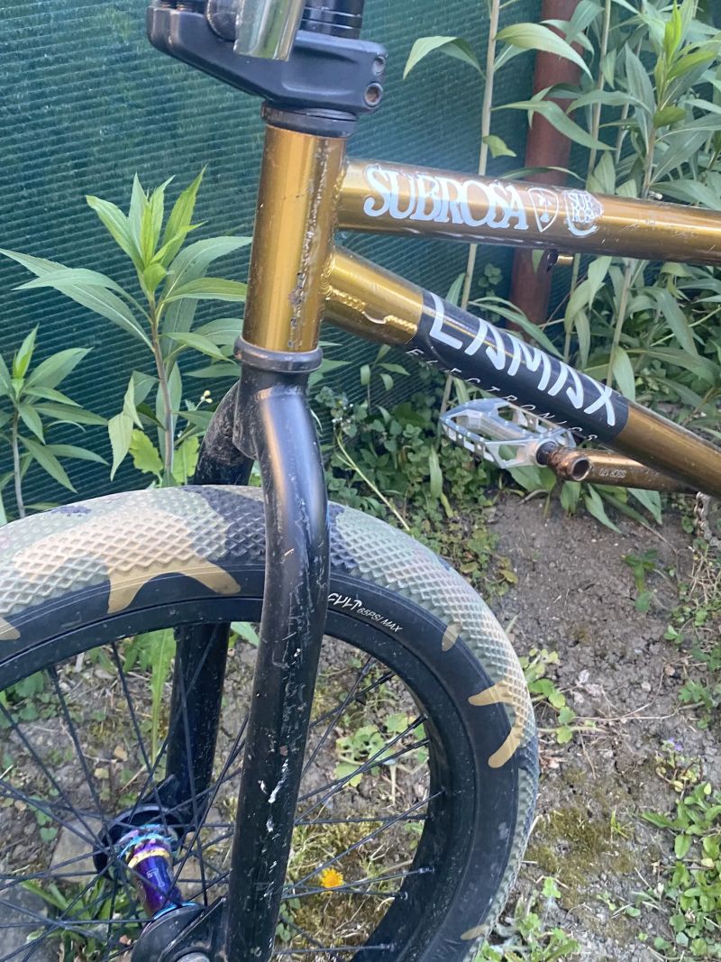 Custom bmx