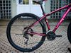 Scud Okin 29
