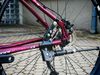 Scud Okin 29