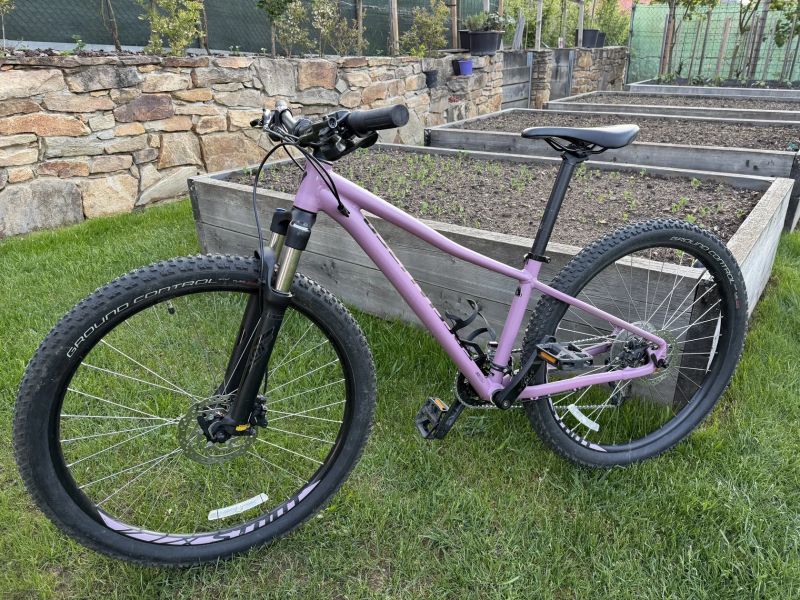 Specialized Pitch