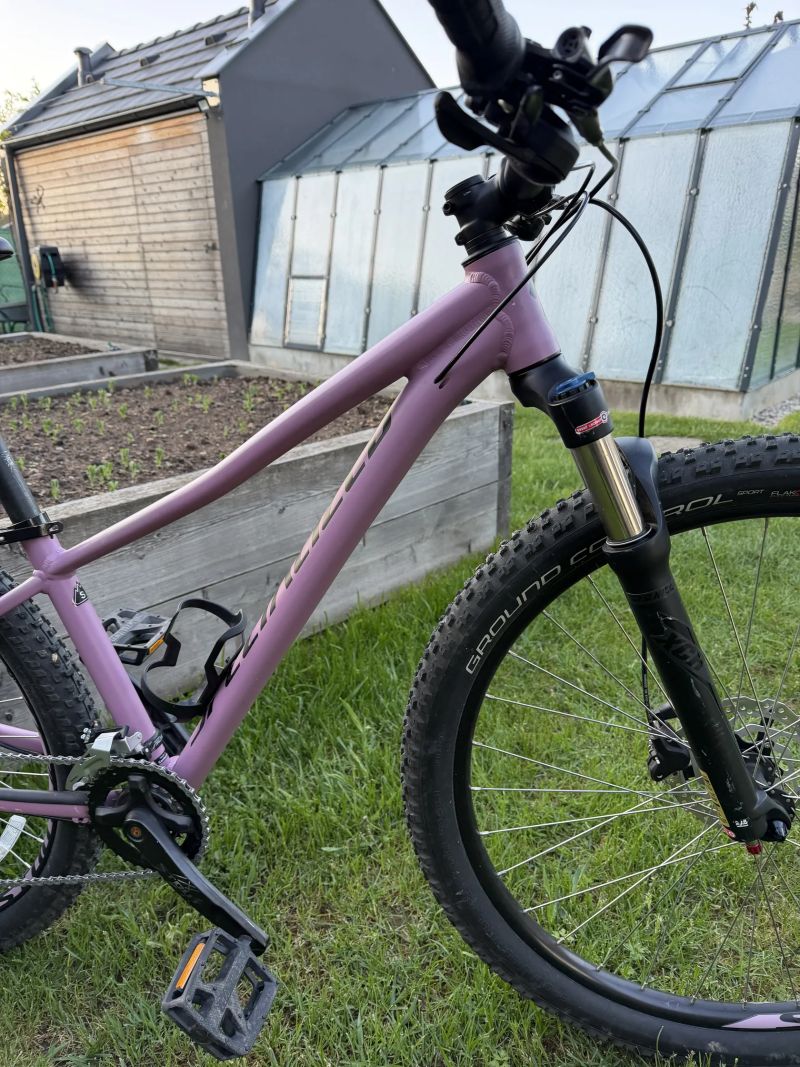 Specialized Pitch